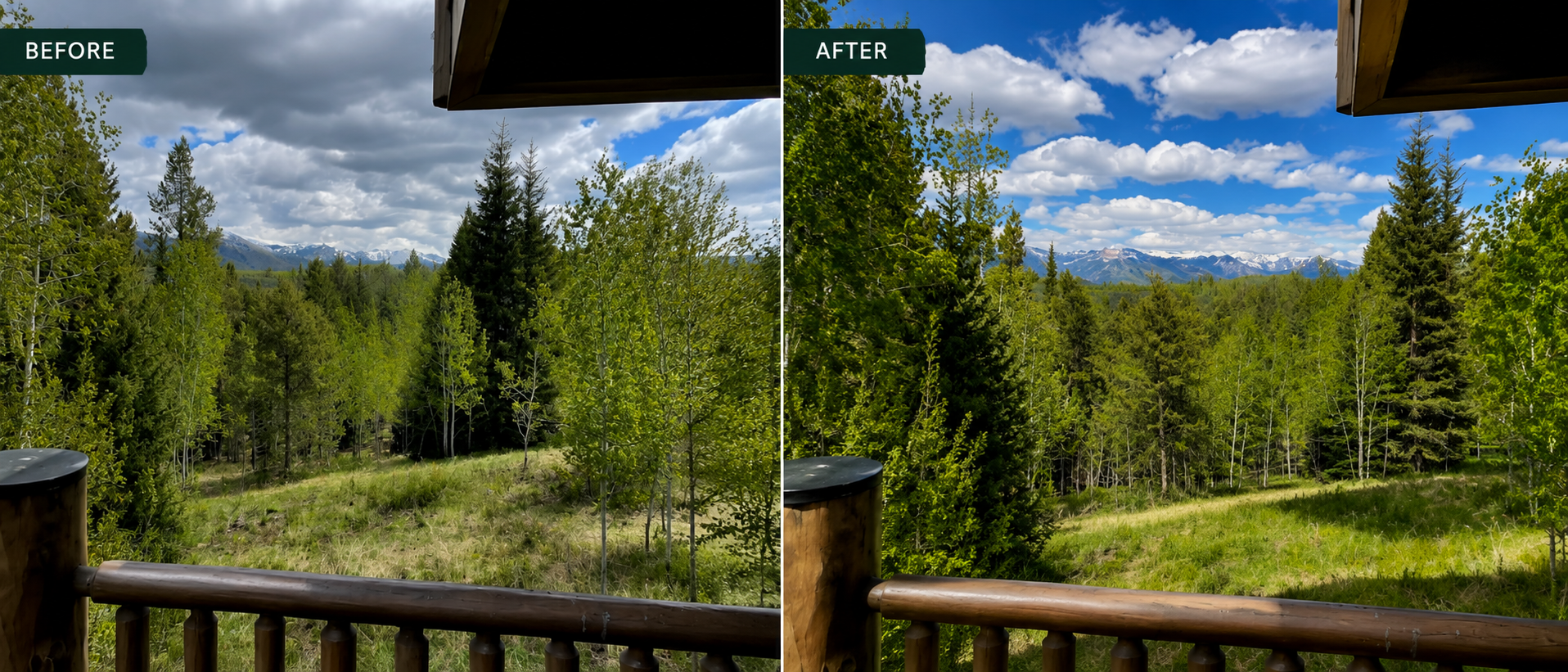 Before and after tree care project near a residential deck