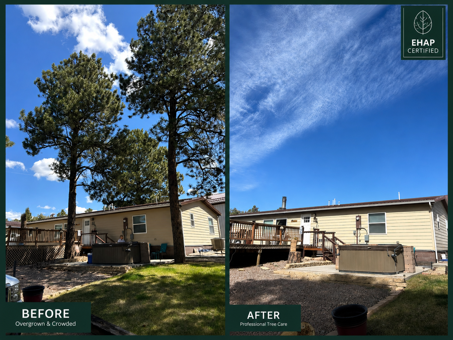 Before and after tree work near utility lines